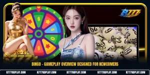 Bingo - Gameplay Overview Designed For Newcomers