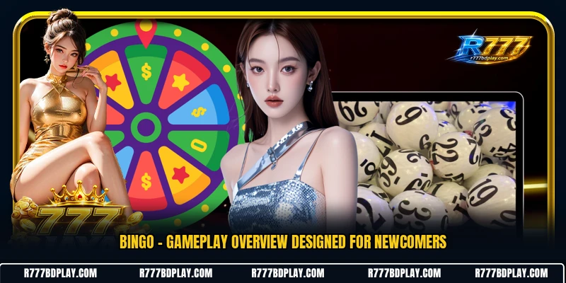Bingo - Gameplay Overview Designed For Newcomers