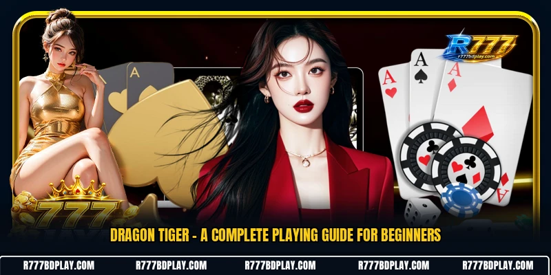 Dragon Tiger - A Complete Playing Guide For Beginners
