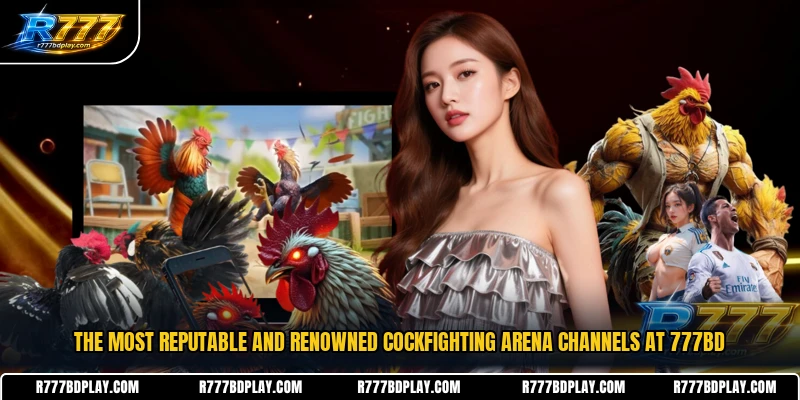 The most reputable and renowned cockfighting arena channels at 777BD